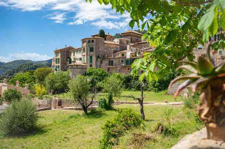View of Valldemossa, Majorca with some houses and trees in front, horizontal shot, Mallorcaの写真素材