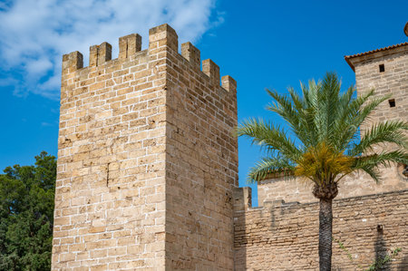 Old Castle Walls at Alcudia, Majorca during great weather, Palm tree in front, horizontal shot, Mallorcaのeditorial素材