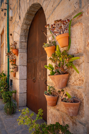 Rustic door with flower pots in a picturesque alley in Mallorca, vertical shot, Valldemossa, Majorca Spainの写真素材
