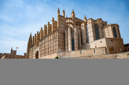 La seu historic Cathedrale Mallorca, wide angle view during great weather, Palma de Mallorcaの写真素材