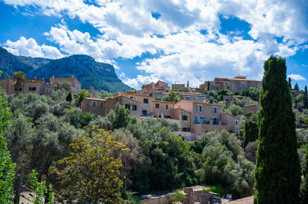 Deia, Mallorca cityscape with Serra de Tramuntana mountain landscape in the background, tree in front, Majorca Spainの写真素材