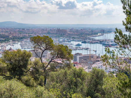 A panoramic view of Palma de Mallorca, coastal city with a harbor filled with boats, surrounded by lush green trees and distant hills under a partly cloudy sky, Majorcaの写真素材