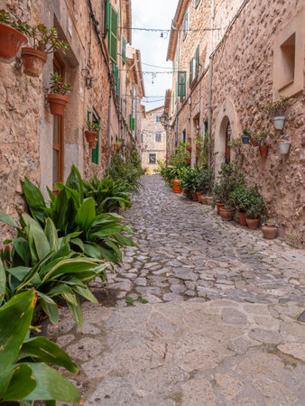 Valldemossa, Mallorca, a charming cobblestone alleyway lined with rustic stone buildings, adorned with green shutters and potted plants, exudes a quaint, Mediterranean charm, Majorcaの写真素材