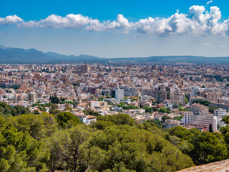 A panoramic view of Palma de Mallorca city with dense buildings and greenery, set against a backdrop of mountains and a clear blue sky.の写真素材