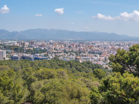 A panoramic view of Palma de Mallorca city nestled among lush green trees, with distant mountains under a clear blue skyの写真素材