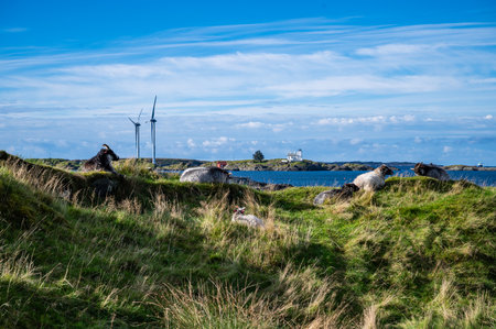 A picturesque landscape features grazing sheep on a grassy hill at Kyststien with a clear blue sky, wind turbines, and a lighthouse in the distance, Norwayの写真素材