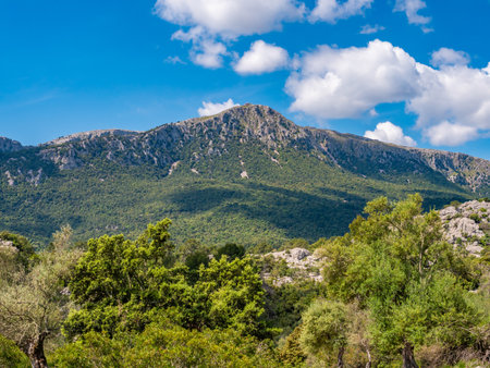 Serra de Tramuntana, Mallorca, picturesque mountain range with lush greenery under a bright blue sky, dotted with fluffy white clouds, Majorcaの写真素材