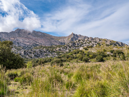Scenic landscape featuring a rugged mountain with sparse vegetation, set against a partly cloudy sky, with a grassy field in the foreground.の写真素材