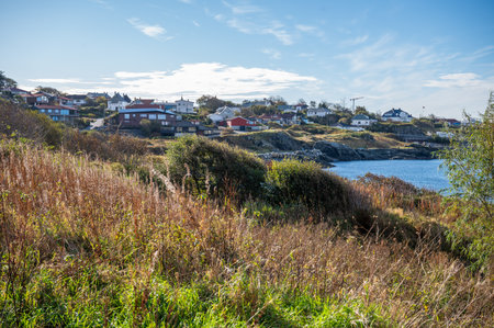Haugesund, Norway, picturesque coastal village nestled on a hillside with houses scattered along the shoreline, surrounded by dry grass and a serene blue sea under a clear skyの写真素材