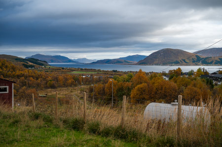 Sortland, Norway, serene landscape featuring autumn foliage, a lake, and distant mountains under a cloudy sky, wide angle shotの写真素材