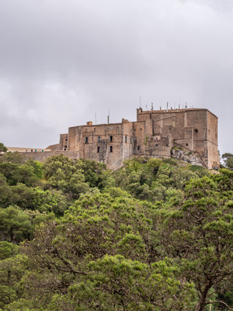 Santuari de Sant Salvador, Mallorca, historic castle perched on a hilltop, surrounded by lush green trees, under a cloudy sky, Majorcaの写真素材