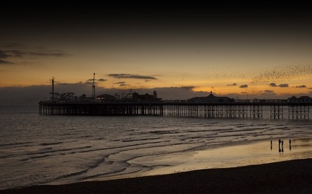 A photography of the Brighton Pier by nightの写真素材