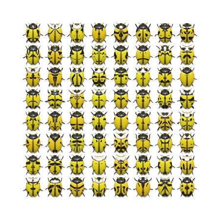 An illustration of 64 different yellow bugsの写真素材