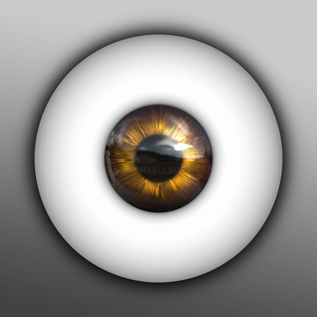 An illustration of a nice golden irisの写真素材