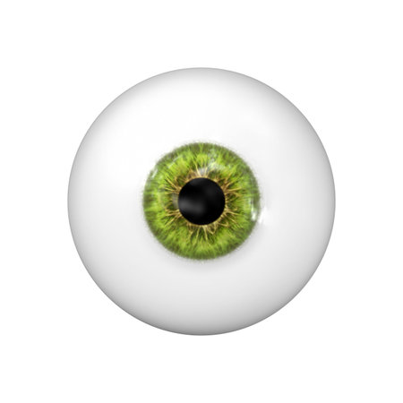 a beautiful green eye ballの写真素材