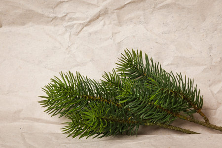 An image of a nice christmas green on a grunge background