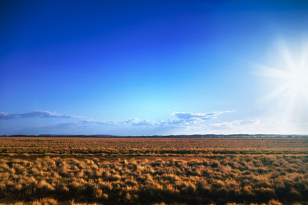 An image of a dry hot Australia landscape