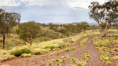 An image of the beautiful Dales Gorge in Australiaの写真素材