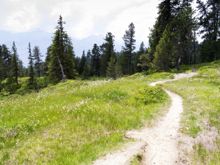 An image of a nice landscape at Beatenberg Switzerlandの写真素材