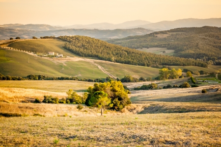An image of a Tuscany landscape in Italyの写真素材