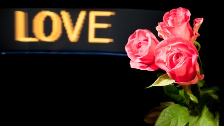 Light painted roses with Love letters in the backgroundの写真素材