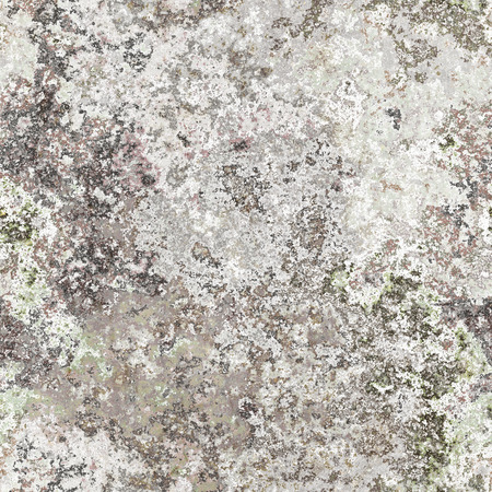2d illustration of a seamless lichen backgroundの写真素材