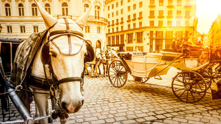 An image of a typical horse carriage in Vienna Austria