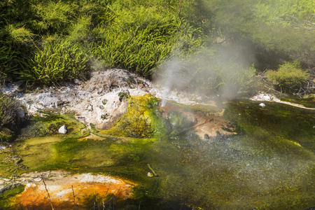 An image of a volcanic activities at waimangu new zealandの写真素材