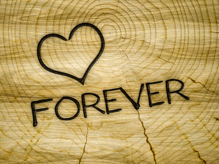 Illustration of a wooden heart love forever brandingの写真素材