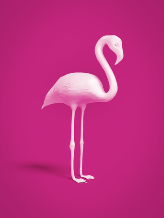 A white flamingo on pink background 3d illustrationの写真素材