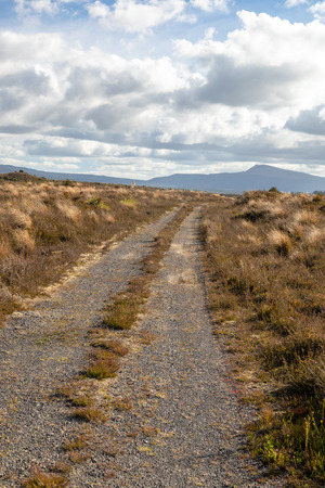 An image of a typical rural landscape in New Zealandの写真素材