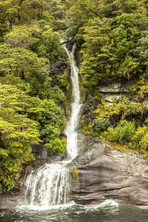 An image of the Fiordland National Park New Zealandの写真素材
