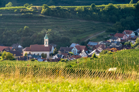 An image of a landscape scenery in Breisgau Germanyの写真素材