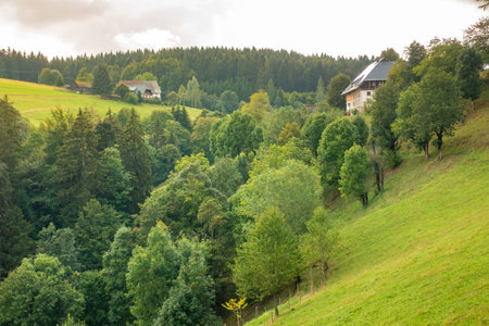 An image of a landscape scenery near Freiburg Breisgau south Germany