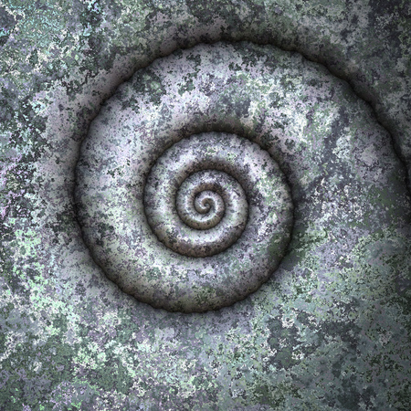 An image of a nice shell petrificationの写真素材