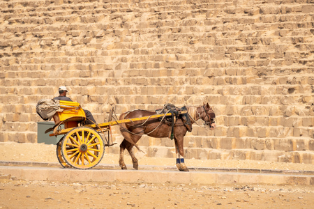 An image of a horse driver at the pyramids of Giza Cairo Egypt waiting for a touristの写真素材