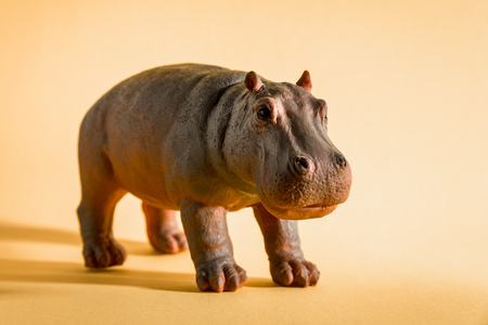 An image of a hippopotamus figure isolated on redの写真素材