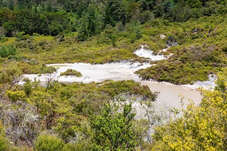 An image of geothermal activity at Whakarewarewa Rotorua New Zealand