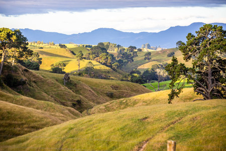 An image of a sunset landscape New Zealand north island