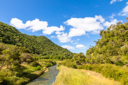 An image of a volcanic activities at waimangu new zealand