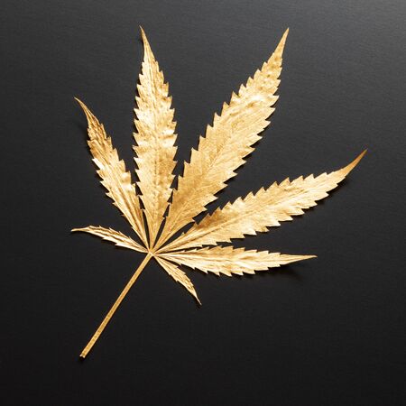 A golden Cannabis leaf symbol isolated on blackの写真素材