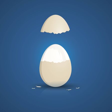 An illustration of a typical cooked white eggの写真素材