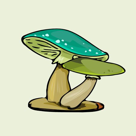 A green color mushroomの写真素材