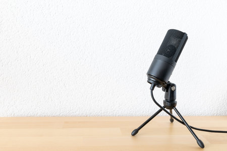 An image of a typical microphone on white background