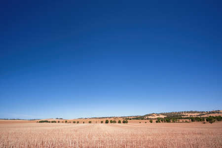 An image of a south australia agriculture dry fieldの写真素材