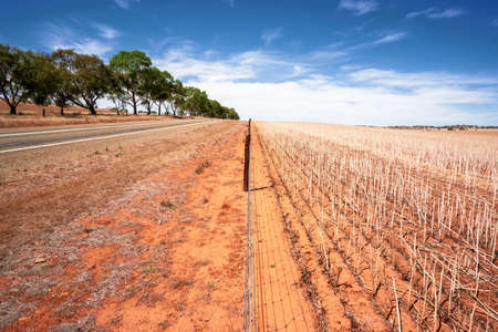 An image of a south australia agriculture dry fieldの写真素材