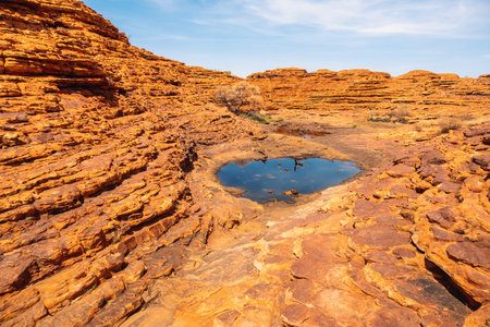 An image of the Kings Canyon in center Australiaの写真素材