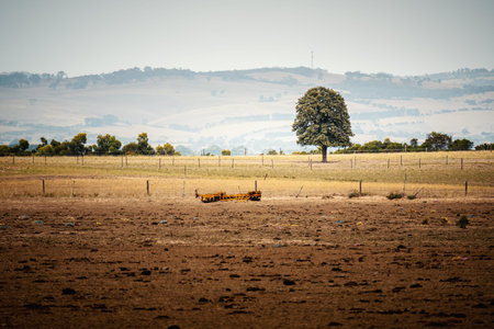 An image of a lonely tree in an Australian landscape scenery