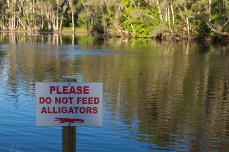 Warning sign - please do not feed alligatorsの写真素材