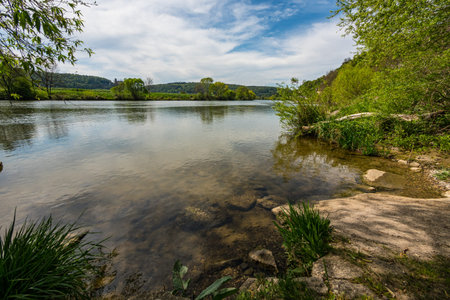 The shorelines on the river Neckar with a view to the natureの写真素材
